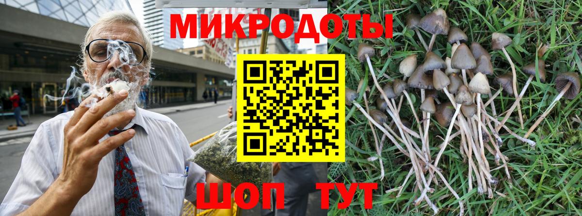 Верхний Уфалей  Галлюциногенные грибы Psilocybine cubensis  Вход с VPN 